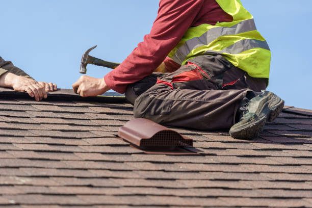 Best Roof Leak Repair  in Colon, MI