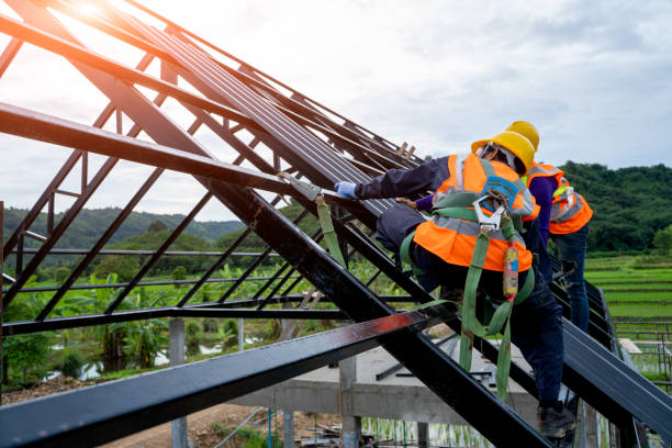 Best Affordable Roof Replacement  in Colon, MI