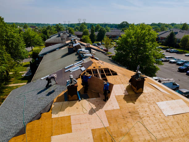 Best Residential Roofing Contractor  in Colon, MI