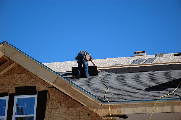 Best Roof Gutter Cleaning  in Colon, MI