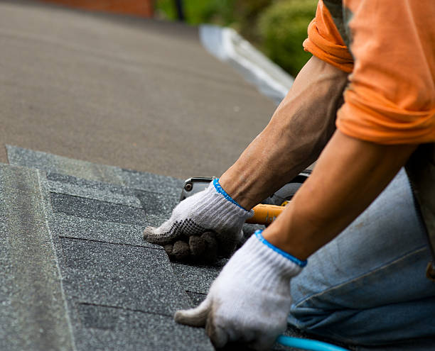 Best New Roof Installation  in Colon, MI
