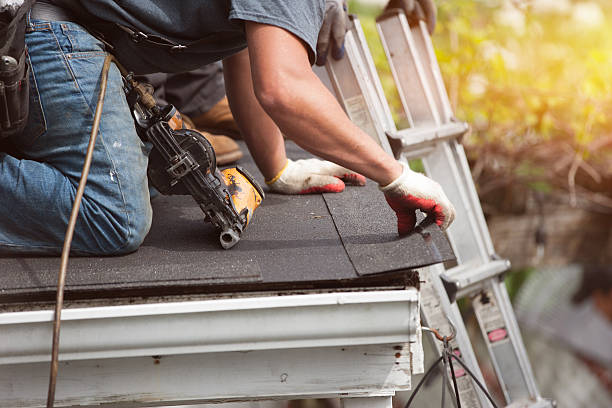 Best New Roof Installation  in Colon, MI