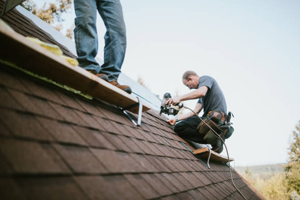 Best Metal Roofing Contractor  in Colon, MI
