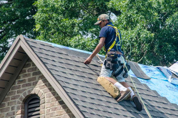 Best Roofing Contractors for Homes  in Colon, MI